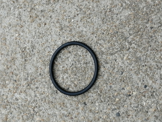 Intex® Inlet Filter O-Ring