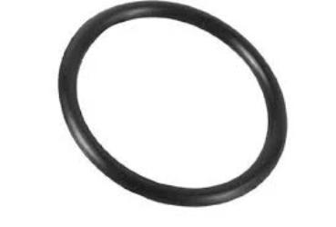 Intex® Hose O-Ring (5F11)
